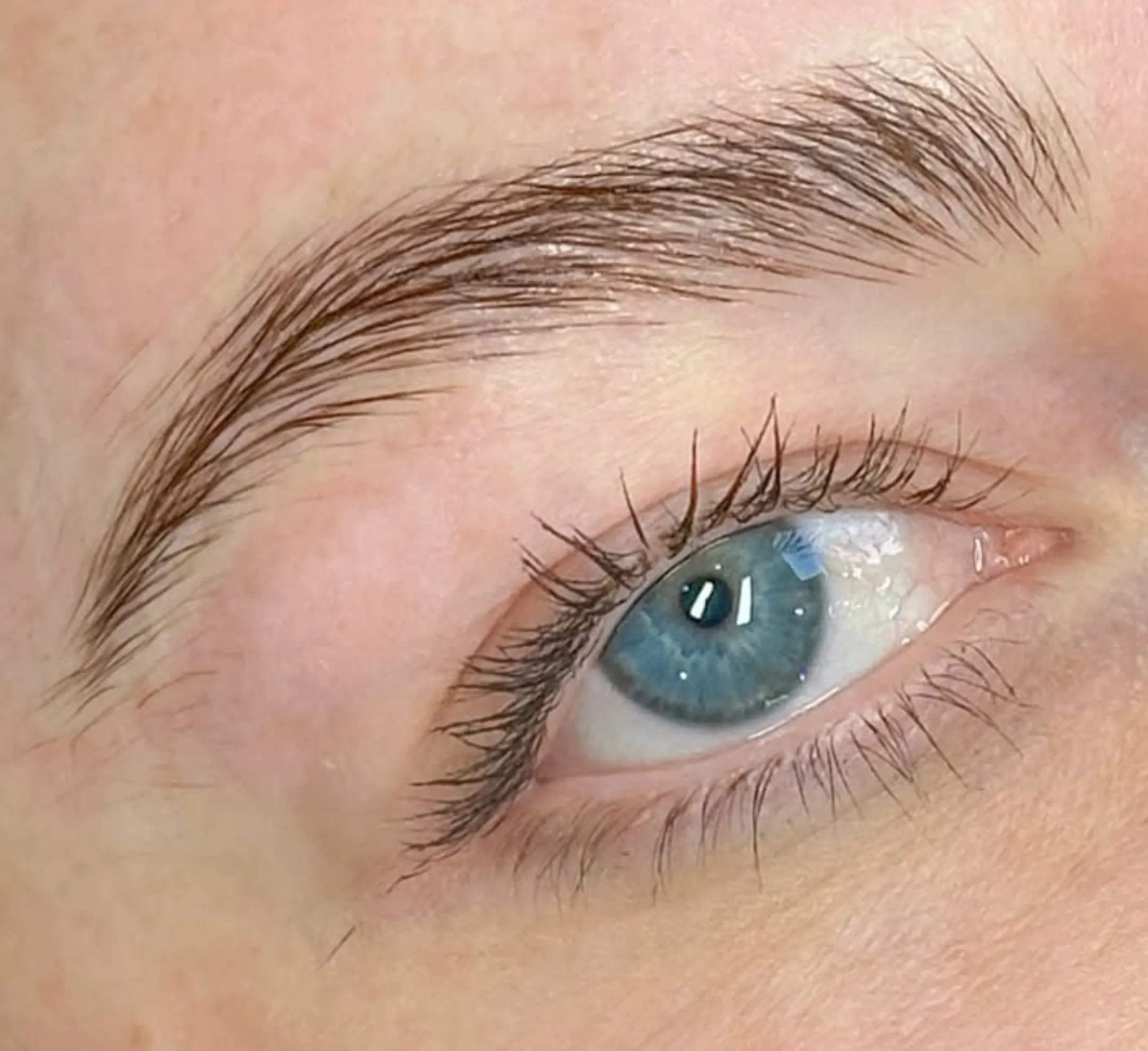 powder brow specialists