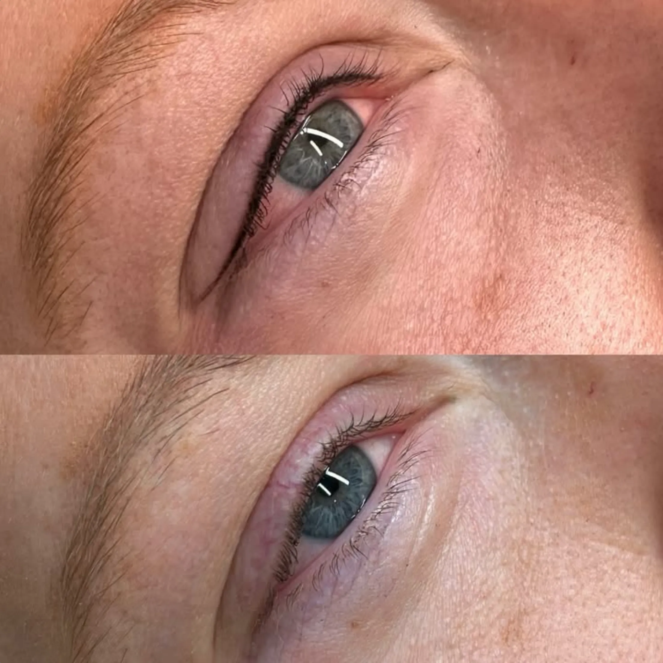 powder brows